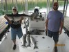(08/06/2016) - Nice Striped Bass